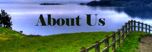 Budget Medicines - About Us